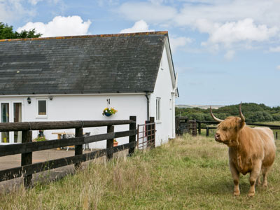 Rose Cottage